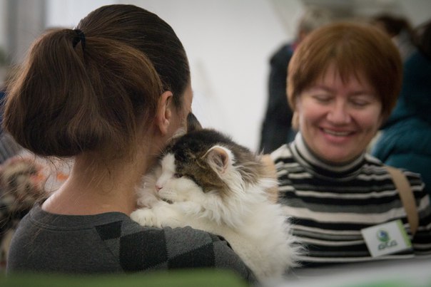 5DD22BB7-4E43-4E90-B48E-7600DECECF23