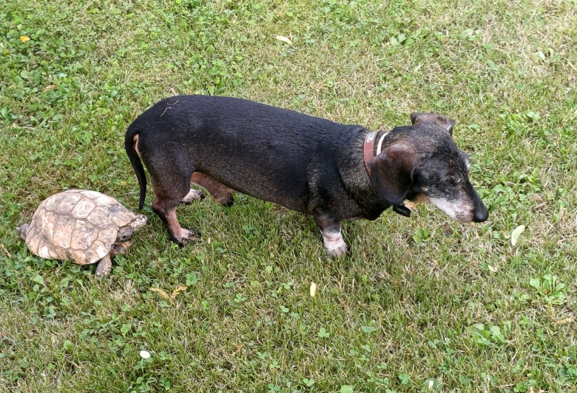 [Image: 20240914-202846.jpg]