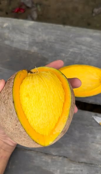 484371167 1124362146155721 621548674228352396 n