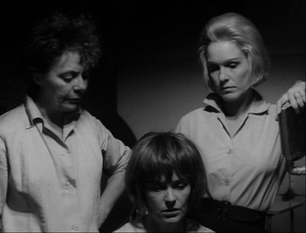 vlcsnap-2022-02-15-16h51m52s680