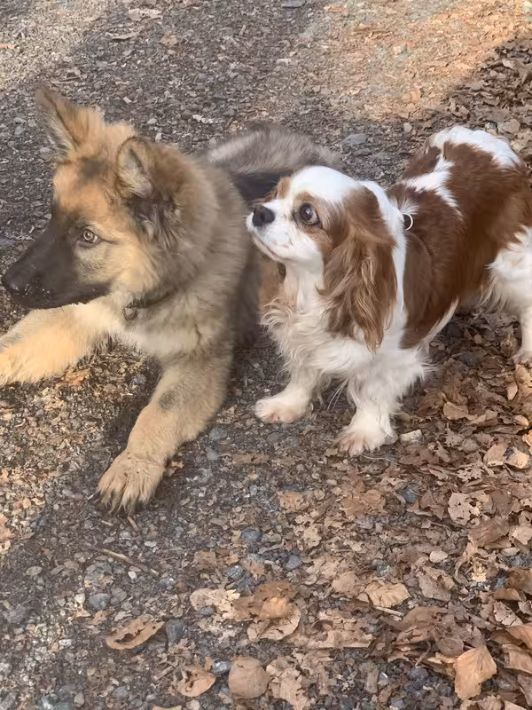 F69491BC-1A82-4833-B027-54F9734EEA24