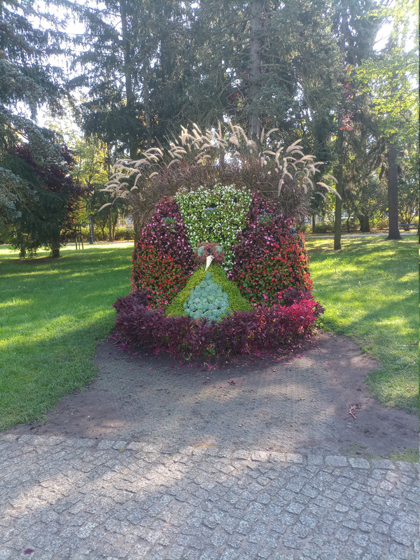 20261006 114204