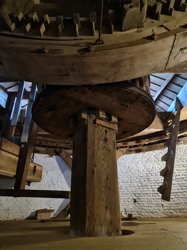 Pieter Zuijkerbuijk, De Korenbloem 20 Sommelsdijk 24-02-2024