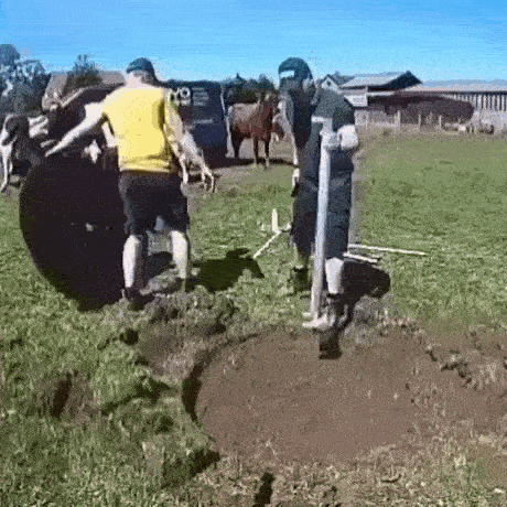https://i.postimg.cc/MHWV0HGX/2.gif