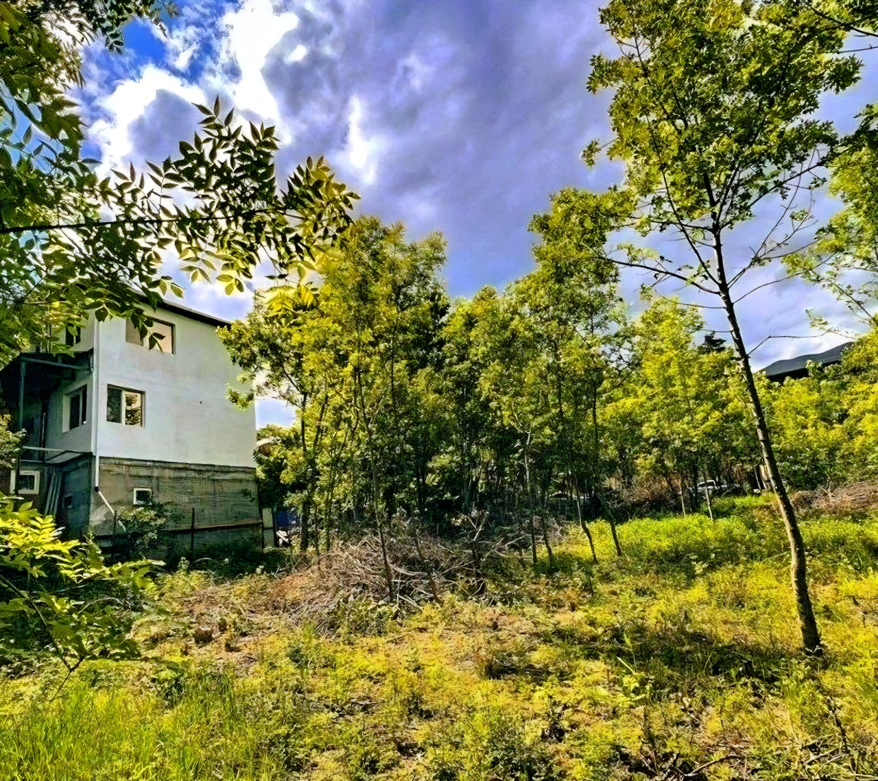 Большой участок ИЖС с видом на Аю-Даг — фото 3