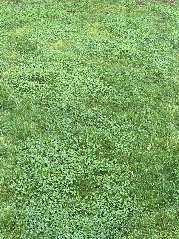 A3D08102-EF5F-4C69-93FC-542FB4E22B3D