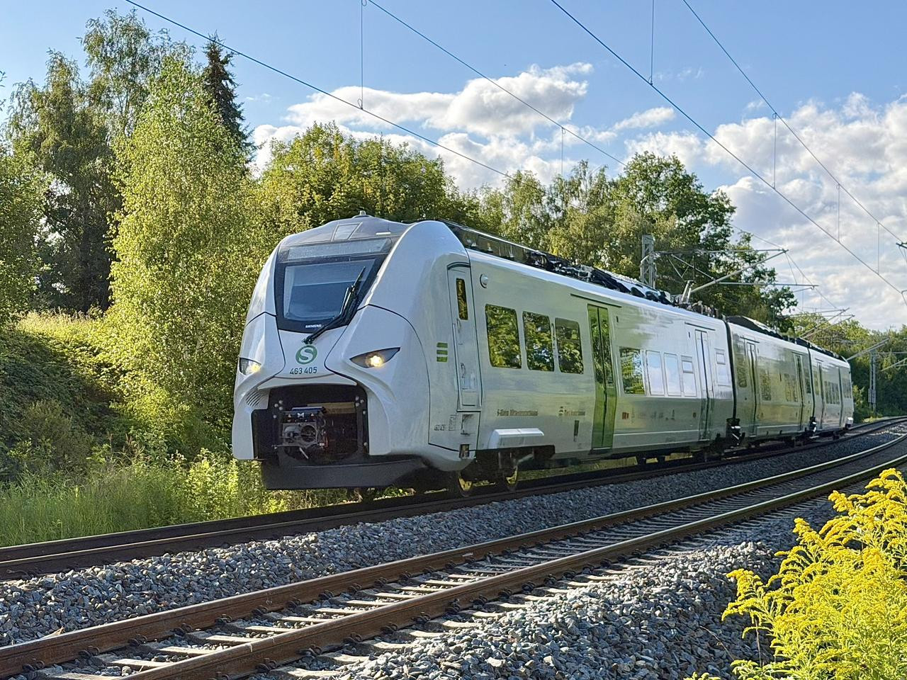 IMG 1512