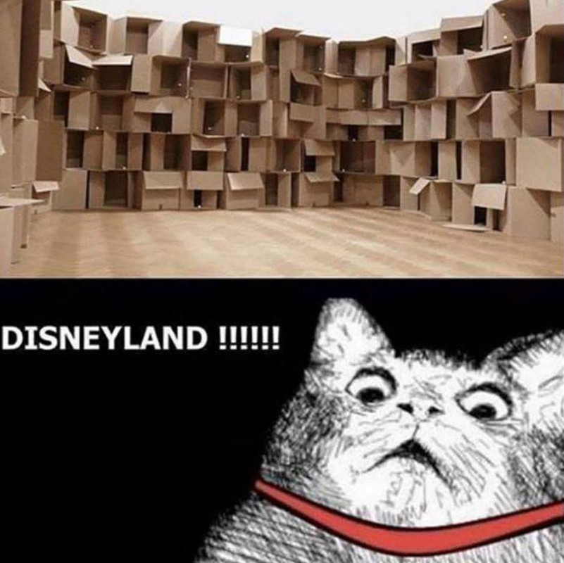 cat-disneyland.jpg