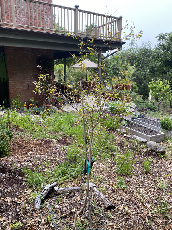 F1C7BEAE-5688-45F2-8530-B54744DCAE60