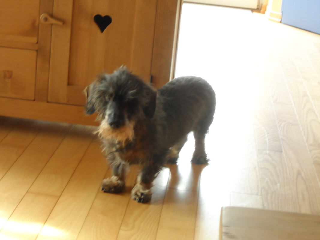 [Image: SAM-1537.jpg]