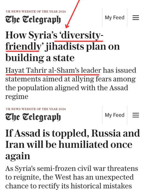 IMG_20241210_103135_753