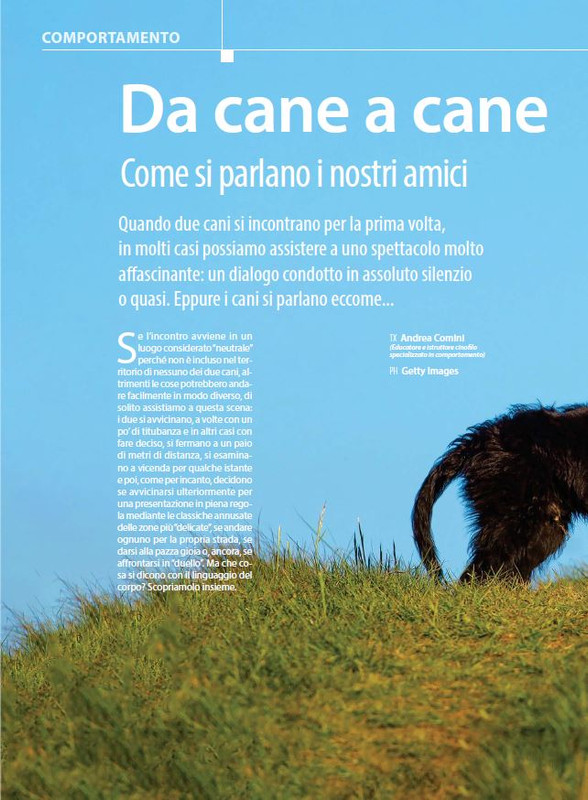 Il M C Set 2023 (11)