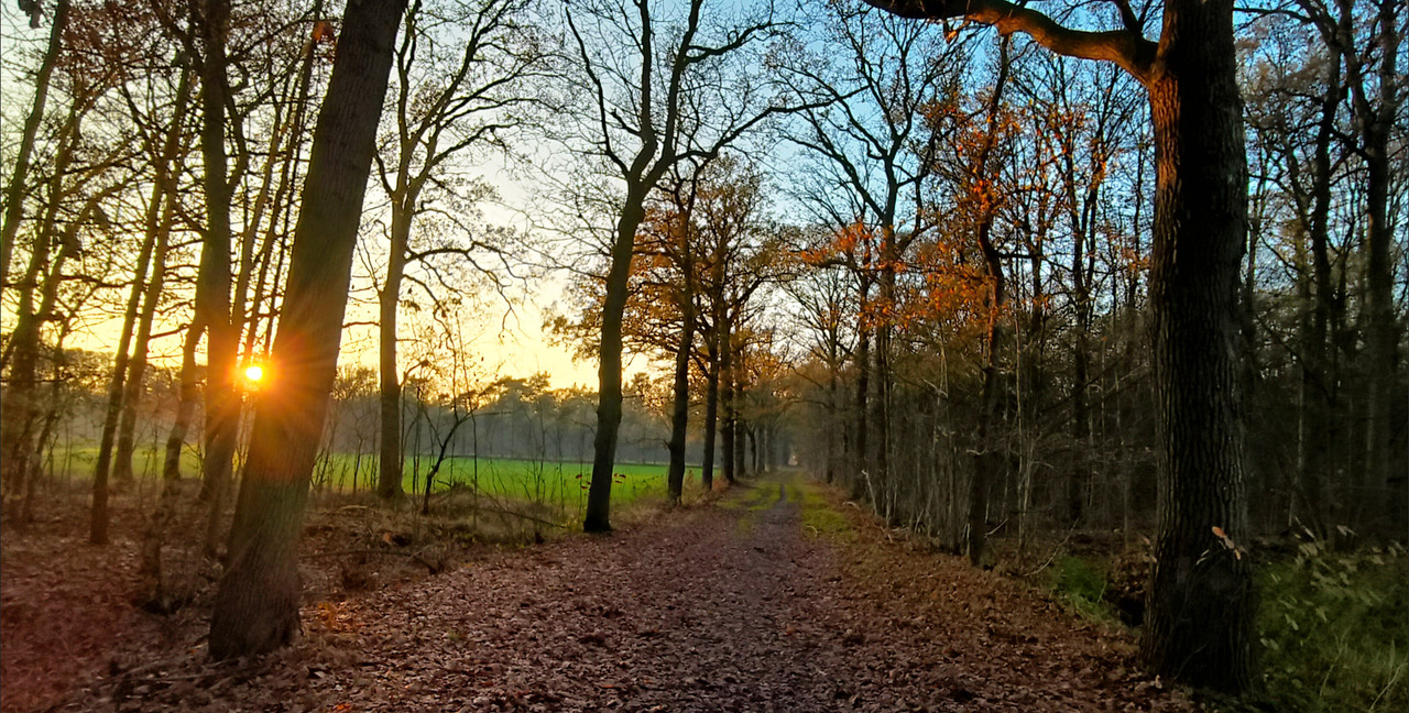 Lumii 20251126 182256296