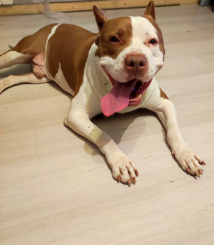 66333456-CE15-4FC3-B2E8-C46A3FF3698D