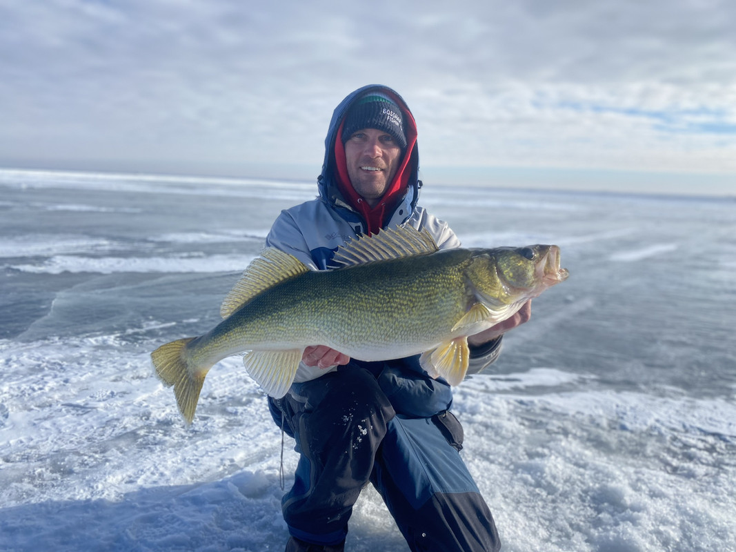 8AB8C3F5-8F64-495E-8374-284E7B166239