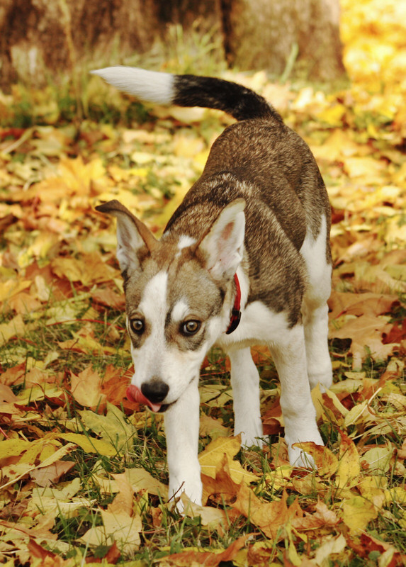 5EFDA025-4C9D-4A3F-B778-2F0DFBB7F8DA