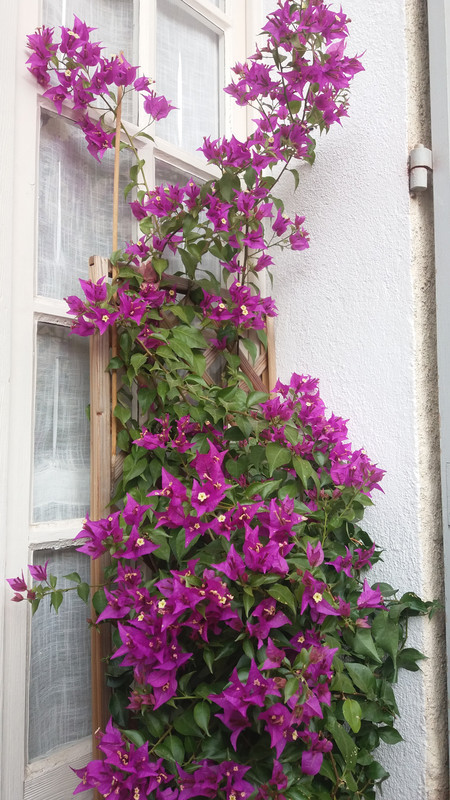 [Image: 20210102-123444.jpg]