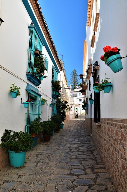 ESTEPONA-9-3-2017 - Málaga y sus pueblos-2009/2017 (12)