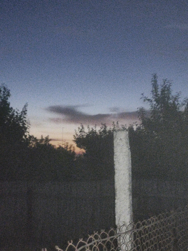 IMG-20250820-204952.jpg