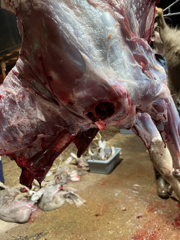 A78E72CA-6E28-40B2-9C76-4DFB0D29E47C