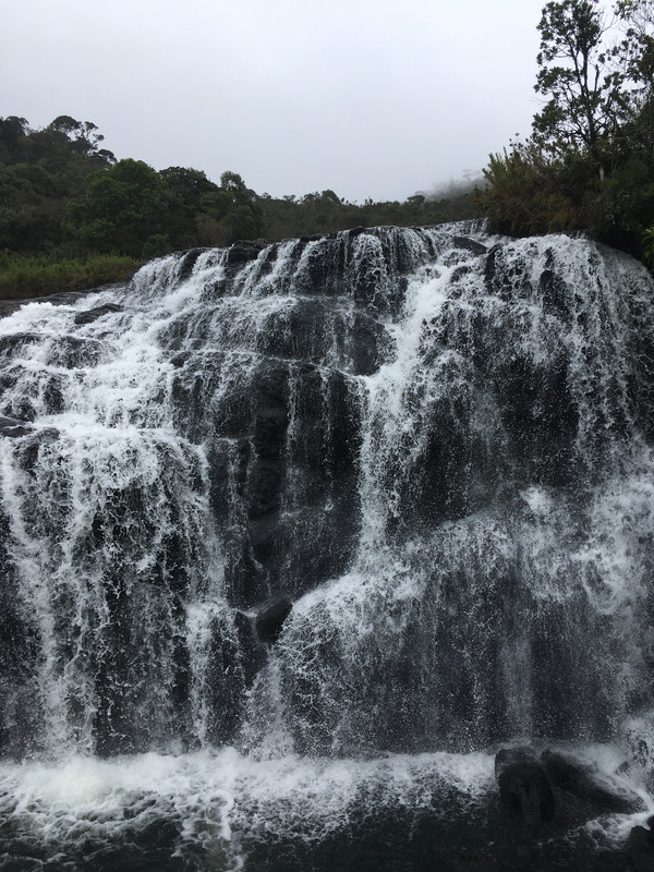 Navidad en Sri Lanka - Diciembre 2017 - Blogs de Sri Lanka - 27 de diciembre - Horton Plains y Haputale (2)