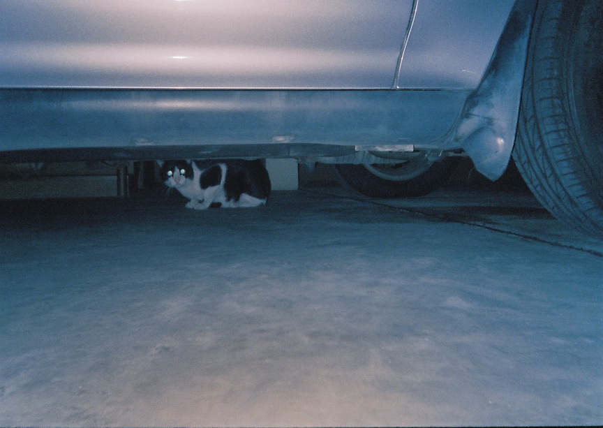 Vision3-HF-16-R-resize