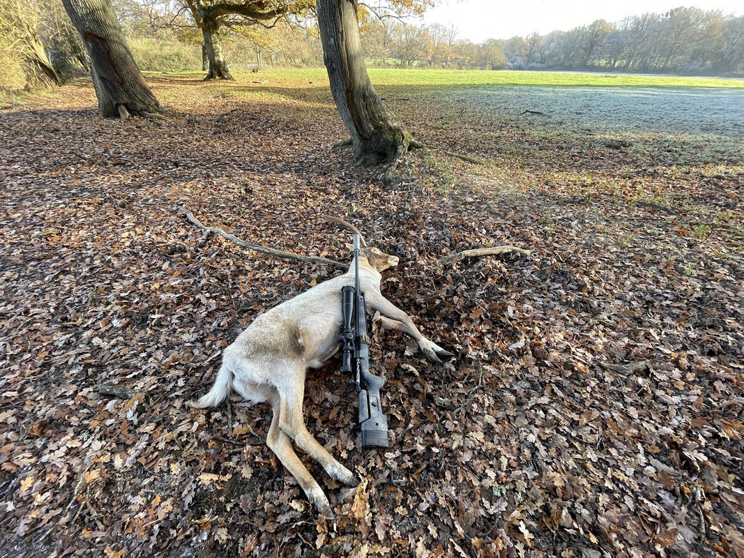 AFA58577-2707-4316-816B-719F60D39EED