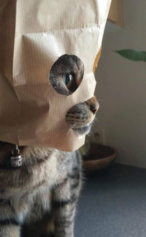 daily_picdump_2813_640_high_100