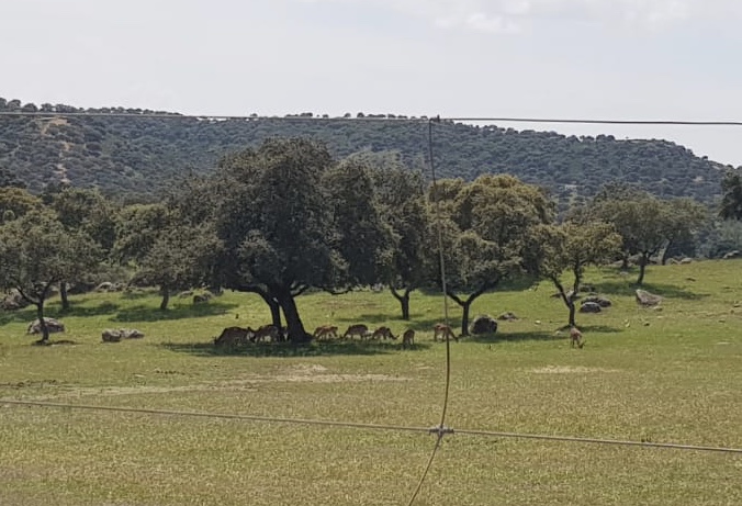 C74525DE-5F56-4AEE-83CF-16C7E6E6E309