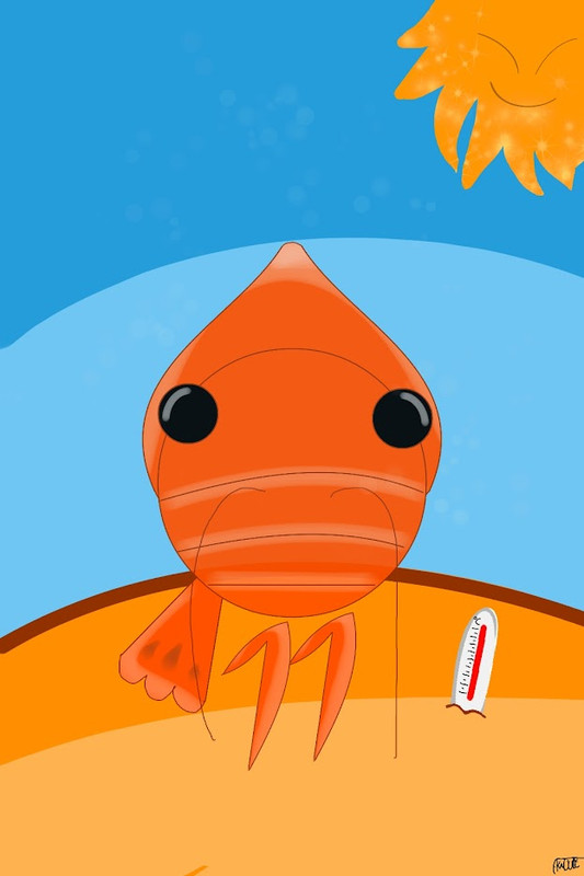 Dessine 3 Emoji Crevette Thermo Soleil