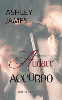 Ashley James - Hidden Affairs Serie Vol. 1. Audace accordo (2024)