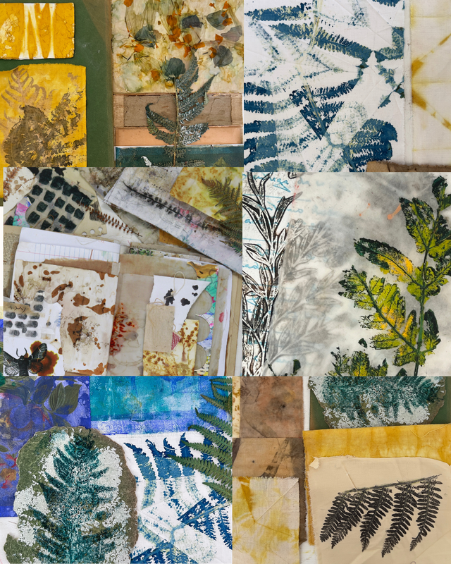 Francisca Nunes creative projects and flowers magic visuals