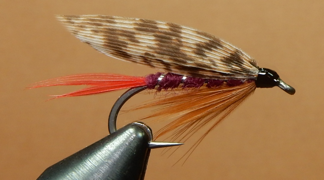 Tomlinson-1080.jpg