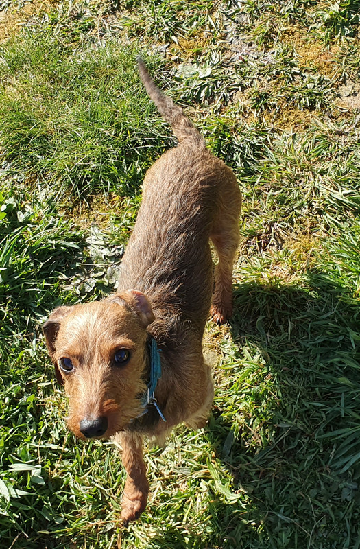 [Image: 20220404-125713.jpg]