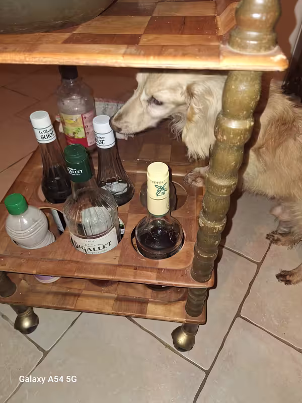 [Image: 20241026-213944.avif]