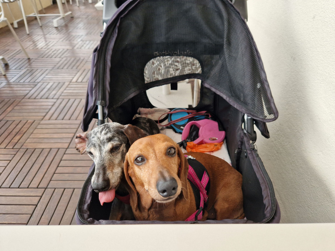 [Image: 20240629-202958.jpg]