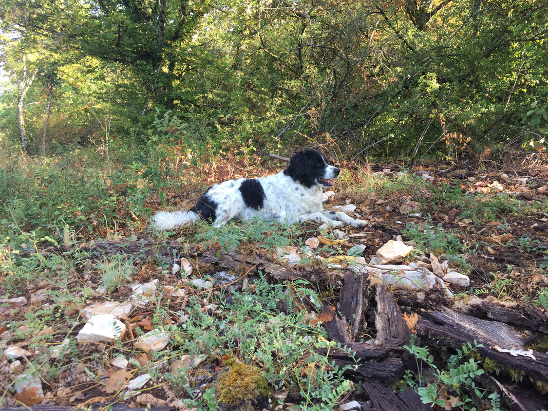 71E07B99-1F24-4272-BDFF-6AF36795339E