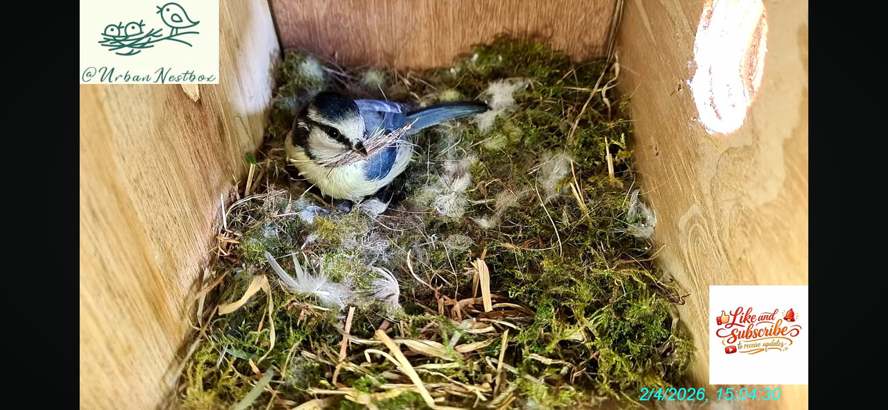 Screenshot 20260402 153048 You Tube