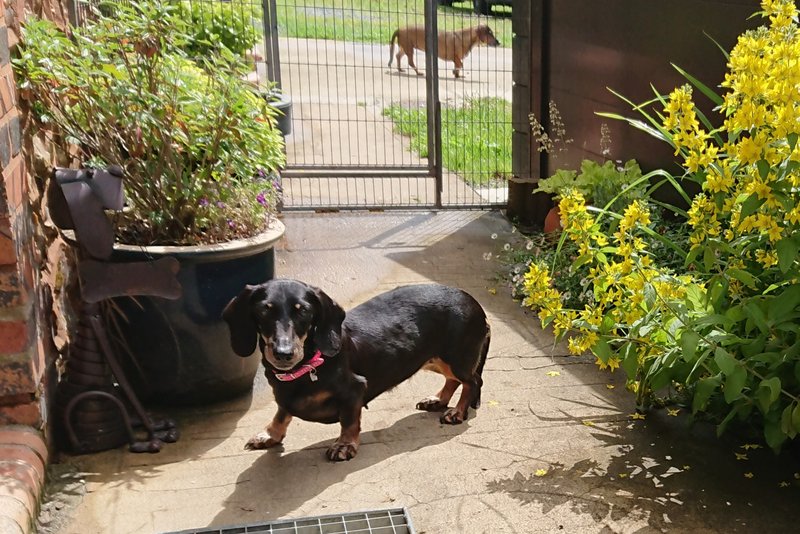 [Image: DSC-2794.jpg]