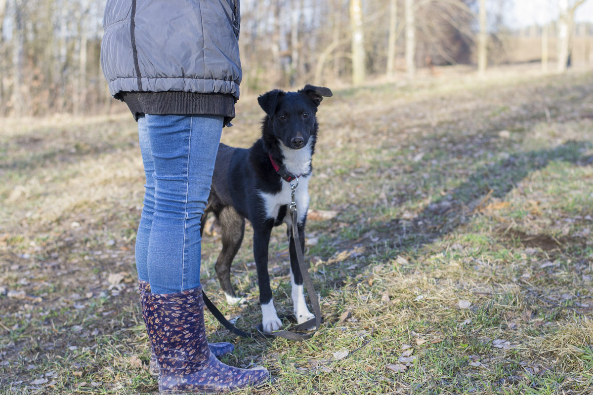 Дакота_06_18_14