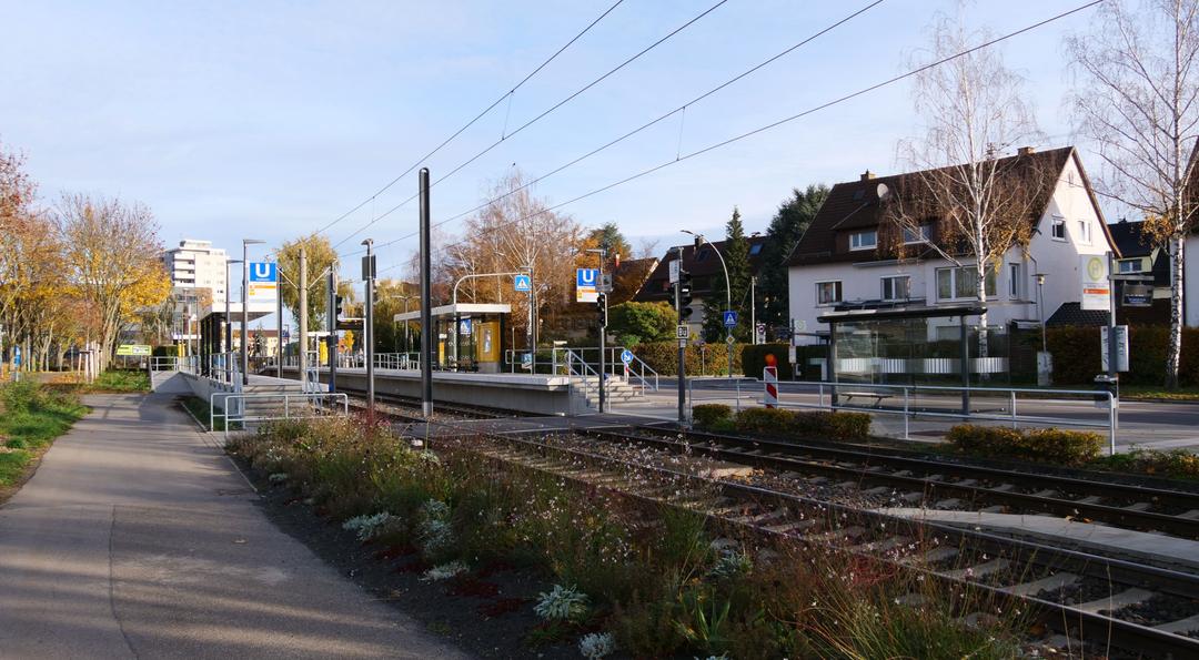 [Bild: 011125-091226-104b.jpg]