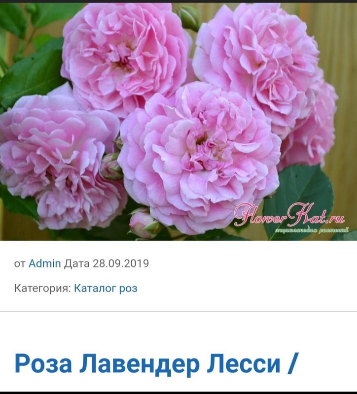 хз2
