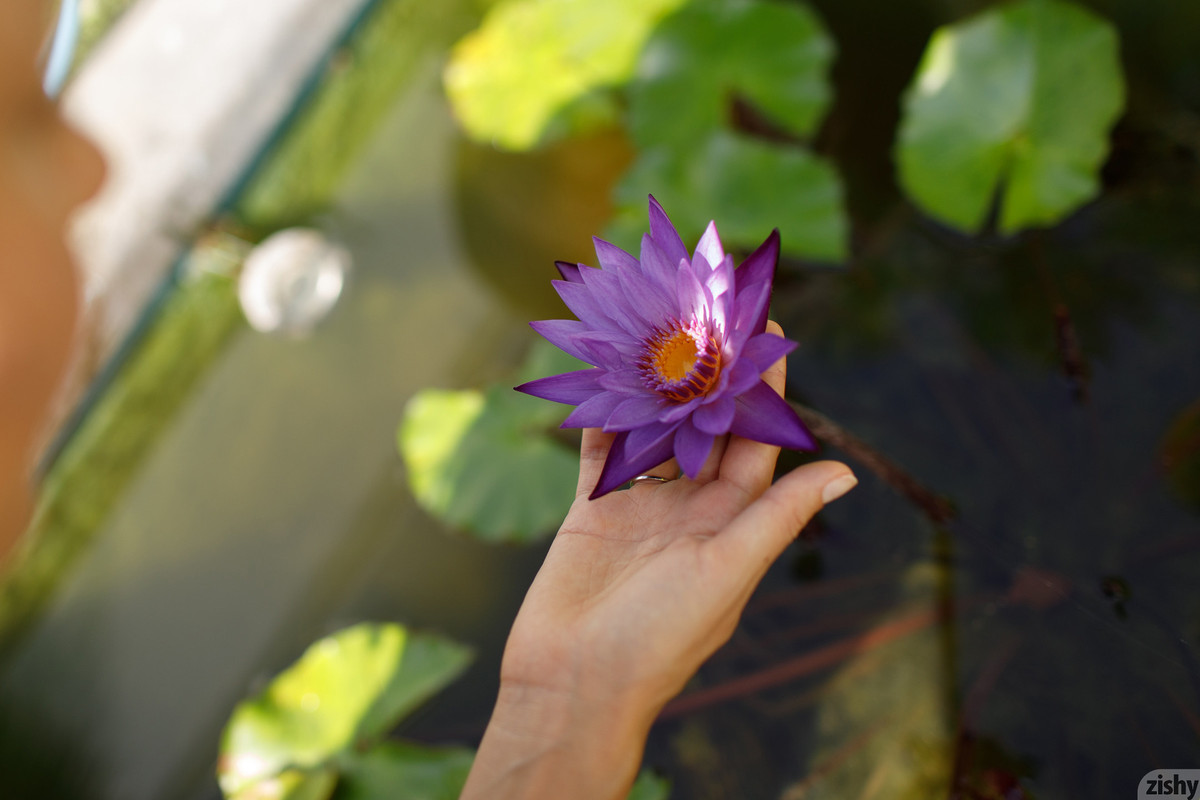 full_021_4567100119111914