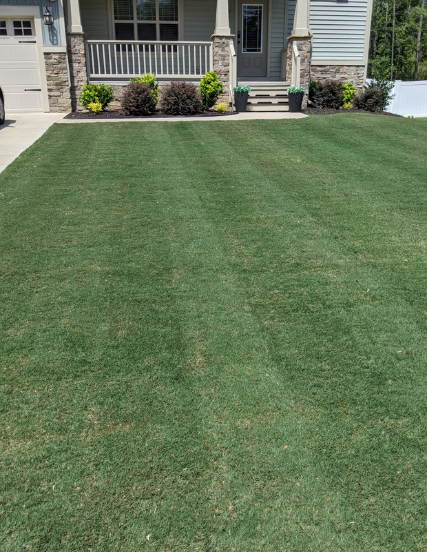 PXL_20200811_160052644.MP