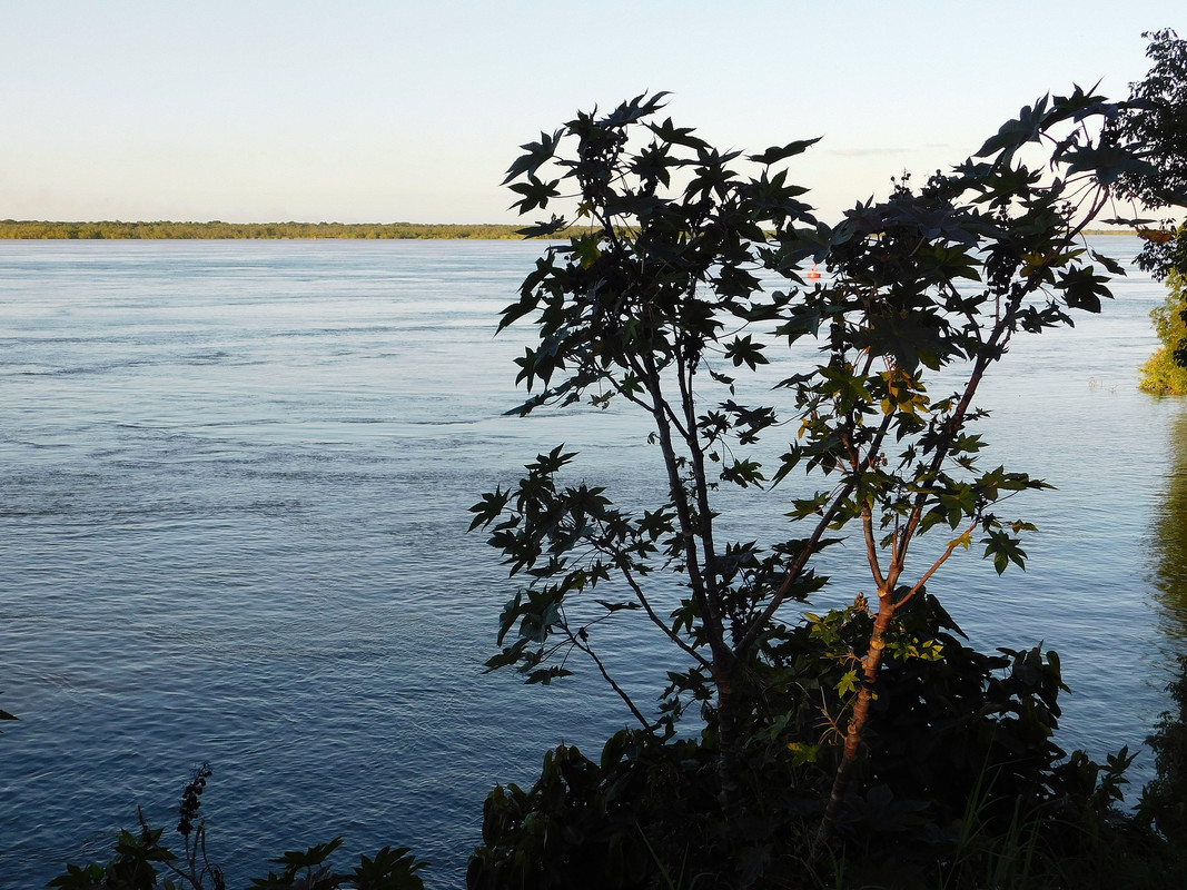 DSCN0338.jpg