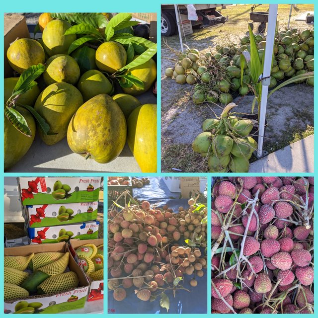 [Image: Photo-Grid-1621876328360.jpg]