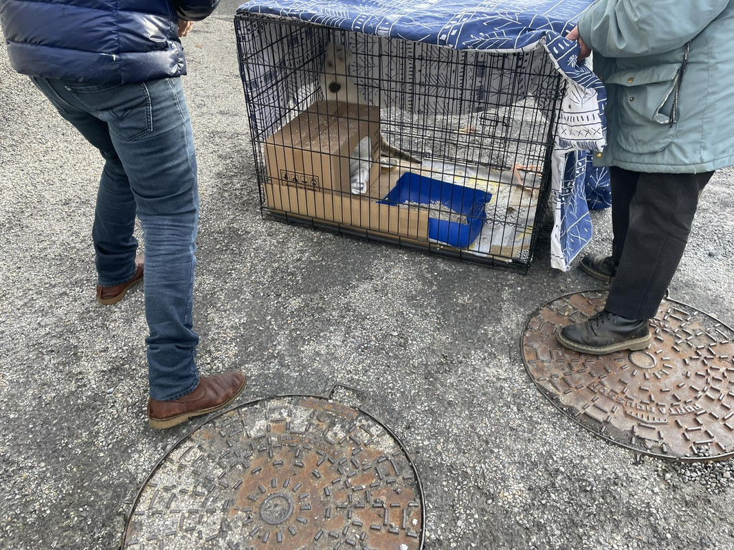 D63FEADA-6A6C-4FF8-9FF0-88BEEB6E9458