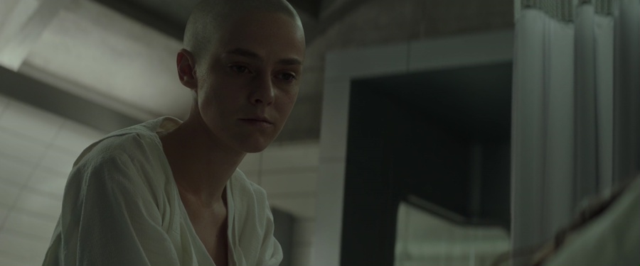 The Hunger Games: Mockingjay - Part 2 2015 BluRay [Hindi + Tamil + Telugu + English] 480p, 720p, 1080p ESub Screenshot