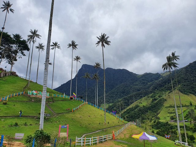 DIA 4: EL VALLE DE COCORA - Colombia y Curaçao Verano 2022 (5)