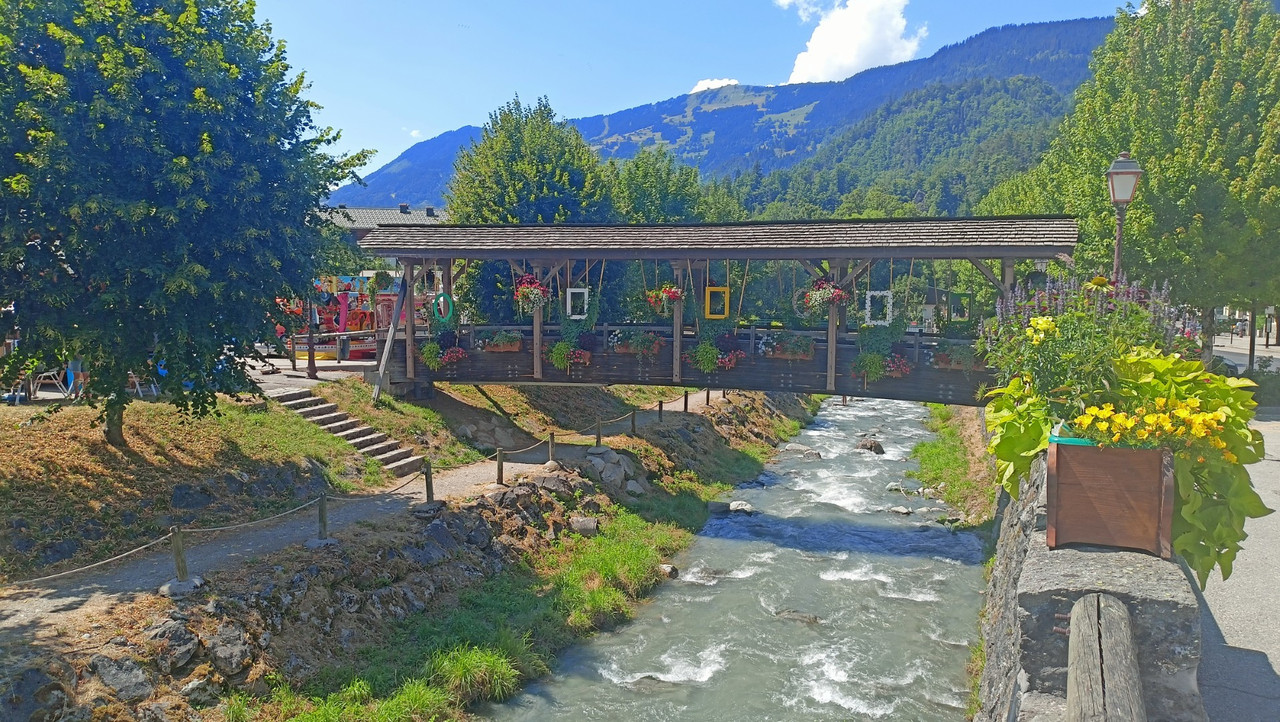 IMG20250712152148 (Large)